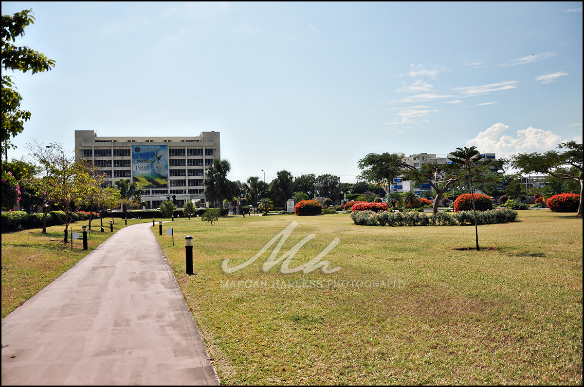 Emancipation Park Landscape Photoshoot | Jamaica | New Kingston ...