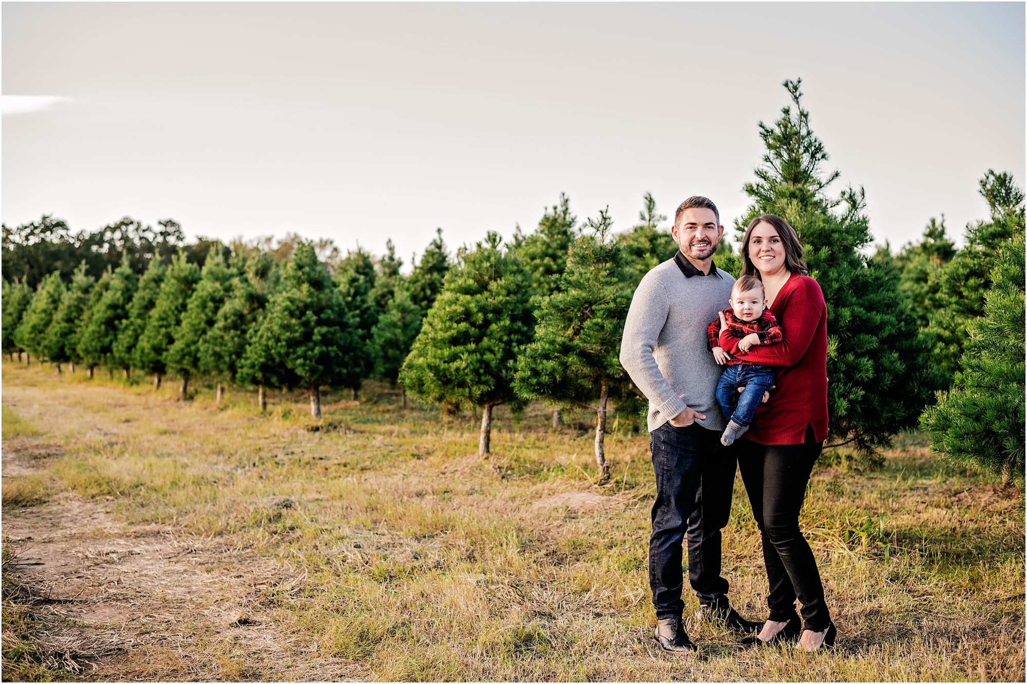 Christmas tree store farm elgin