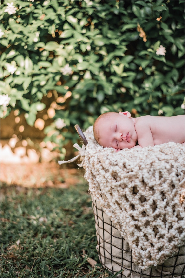 Newborn Baby Girl in Austin Texas Summer Photoshoot in metal basket  Natural Light Photoshoot