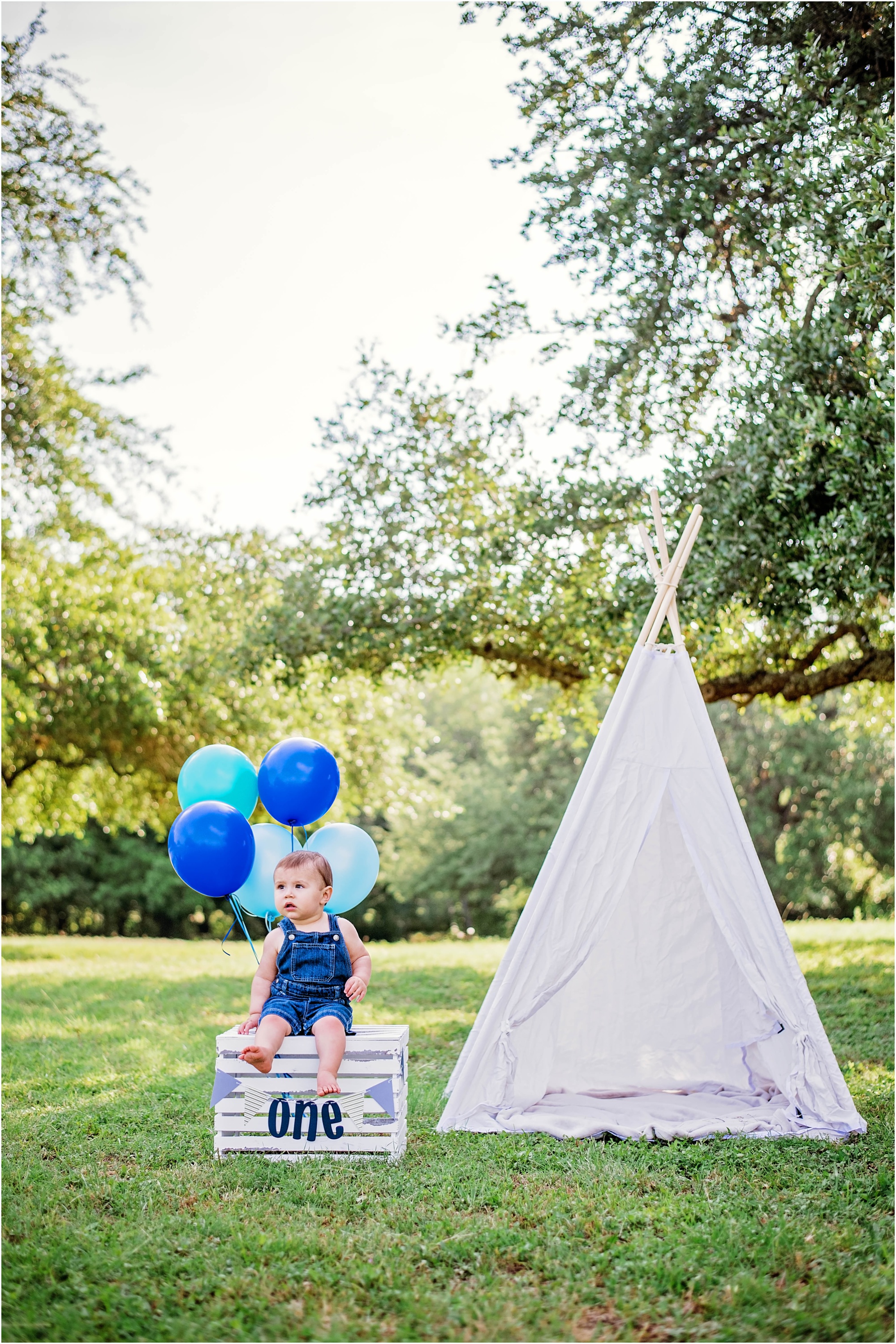 first birthday photoshoot boy