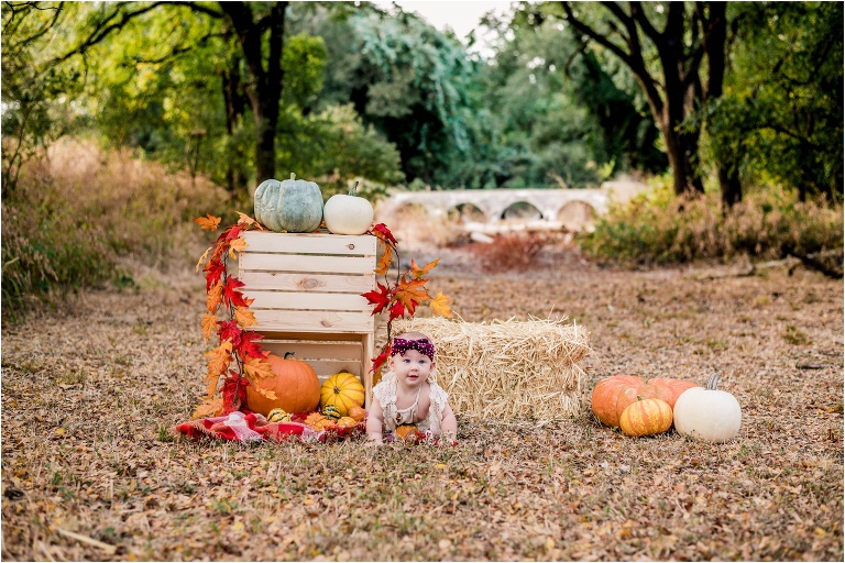 Fall Themed Mini Photoshoot in Cedar Park Texas Natural Light Family Photographer